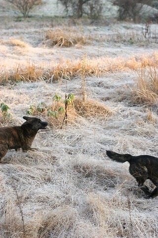 Img_19b59a7ecefd200183bac6b7181580c3