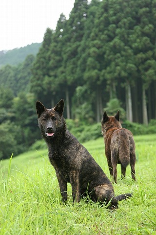 Img_1b8a63b29ab7f6963bcdf4e6ebef8140