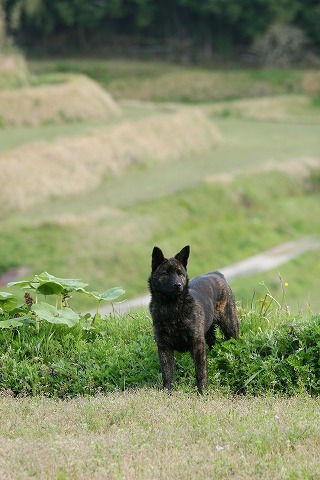 Img_1edb3cad827a641f96cd9ddd8b832c7d