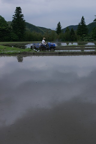 Img_20a639c77c1d3ec5ed19bff8bf325236