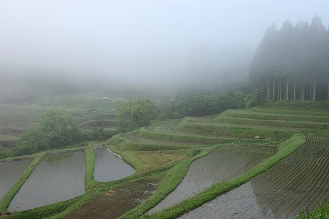 Img_215cb0670e92bdde580b68515ae5c138