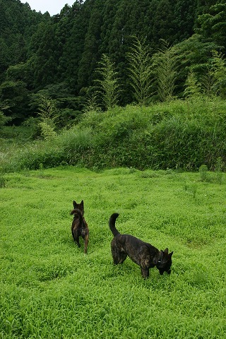 Img_282a3764da0758a4fc0c7b54581d3a3f