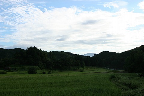 Img_31f1feb3845be6e8f2014d69f2e90f6b