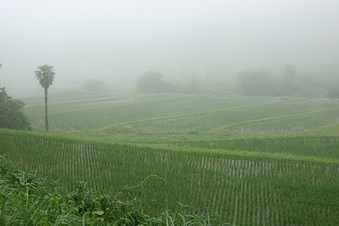 Img_37e5e6f66b89b2470d6fbc7ea19b7245