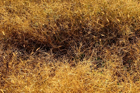 Img_383254ccc67dfe86e407859da8f3cce3