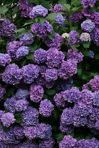 Img_3cb78d6aaa92e6bf97d938e61a84e05a