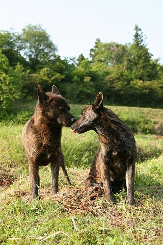 Img_3f0930b4271a09731015f43f2814c7f3