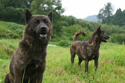 Img_427078e97a4e89994404ad5f832a703d