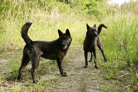 Img_4405e001b938deb96eb2b9c409ae9887