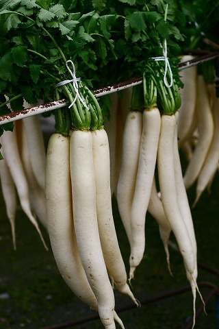 Img_44ad9eab6d32d19d444adfcd807ee68d