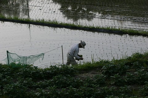 Img_46b5698da87b1334efcde2d976fb8473