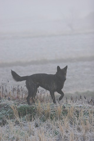 Img_4ccabce4e4089d026ebf231aa5d197cb