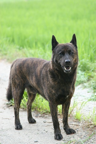 Img_579cc0ef9d0d7e92830938481316c604