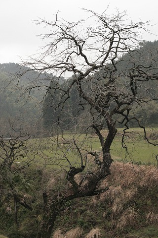 Img_5cb8d92f885cac7786baa13d6251a349