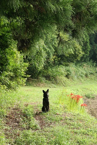 Img_6110eacefa378a47c2a9039611017487