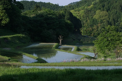 Img_6351aa19502b26ad0d24810d5628f9ff