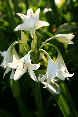 Img_65a3c5d6f7abe6574ebb2034b29a9500