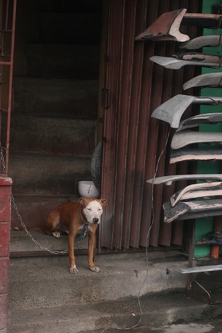 Img_6a73e73888bae28857cd0817ba79e120