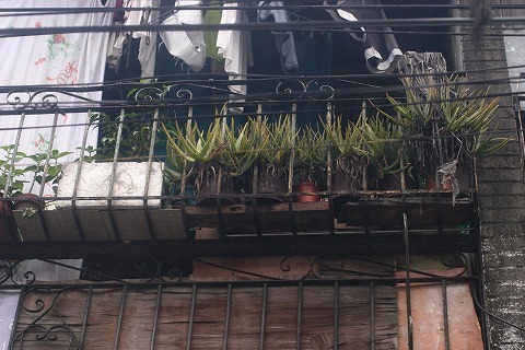 Img_6d5fe59597bd6115c1bed569b4022982