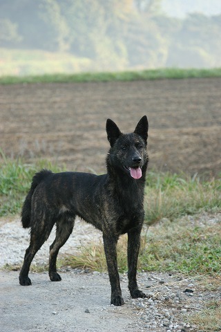 Img_74533f1635ddf8a6ff5d24b363a70832