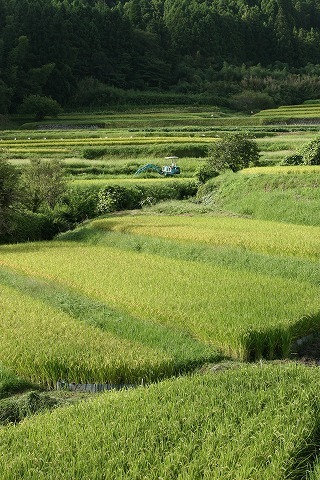 Img_7629e5d775255d64c40bad4f55ba628b