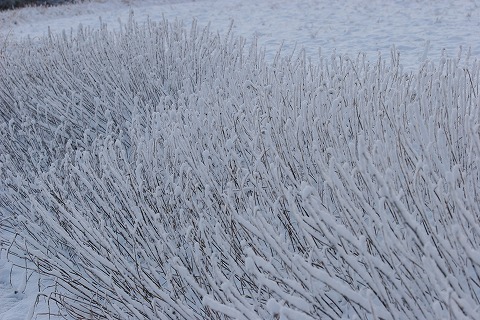 Img_801febc14fe45a85f06c6e5ad24f3ac1