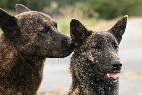 Img_85749fe4828a1dd395125d82d5fb3c94