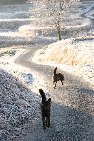 Img_8b2730fa8578566a4f55f2c5c2b3637c