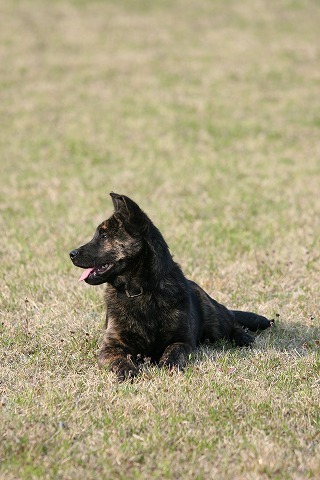 Img_8bf93c54d91a178a6a615016a3d0ca35