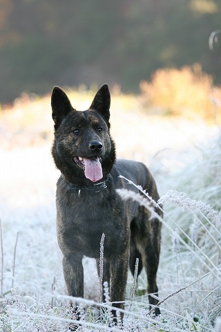 Img_8c3628c5b01a62d6bcfa17616122d3ba