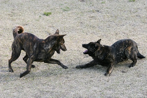 Img_90cedfd61b8fbceaddfb3798ecb2bf68