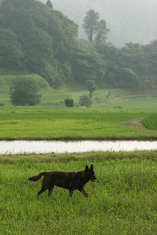 Img_989c7a48c60086123663cf7a88ce9a93