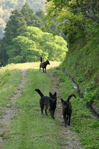 Img_9a66dc93391c8470189f1ef57edea5ba