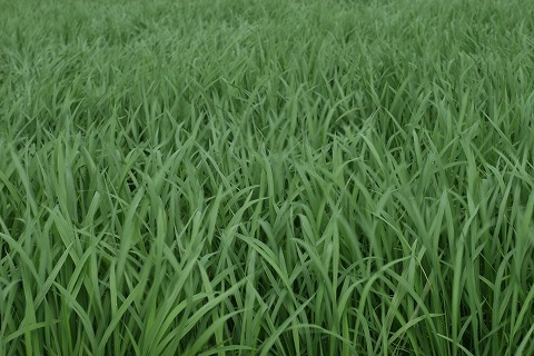 Img_9d34dbcb5d260aefc688847f94ed750d