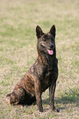 Img_9ed57f5b87ff852d51988d3ebb8a8c87