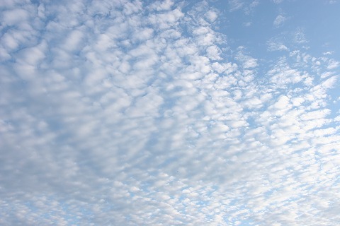 Img_9f5cba74f7d1b31ba3207cedc295c5e4