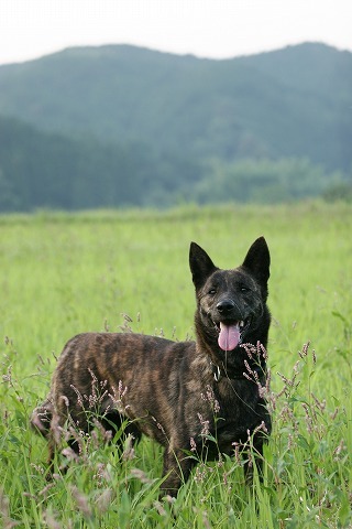 Img_a05bf96f7d975098002d40f426556cd9