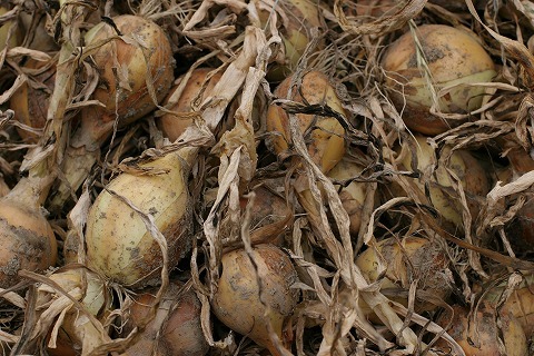 Img_a3b15b6420c110cd71b29a448c693622