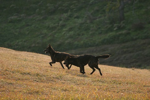 Img_a3eeb0959918018c75c2aaedf429170a