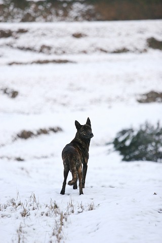 Img_a76025cf8e9fac2ccd14a47fe7b8a444