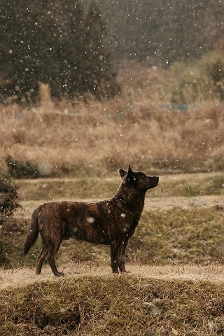 Img_a9114b10ba1e8efc5ca60b2fbc1961a8