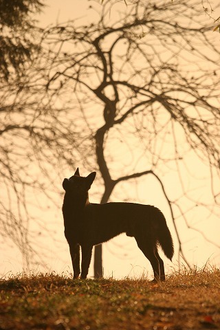 Img_a9d2eeb9a52af43d468c17e40dbe2743