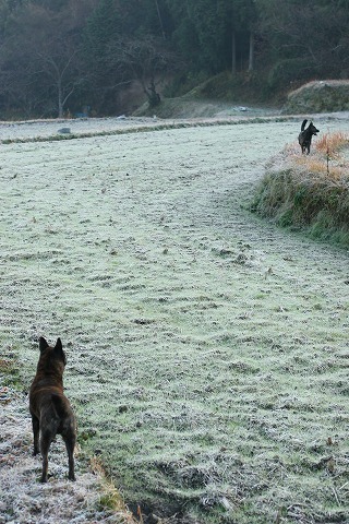 Img_adf315783186674758abf5f277e2eef4