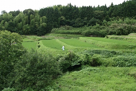 Img_b20b587cc7ceca351558574362be0c69