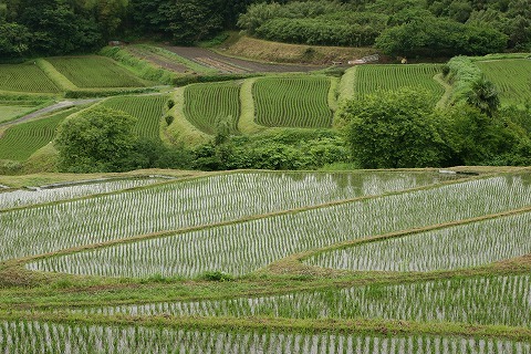 Img_b70791c70a25b7317b4f22dd1e638842