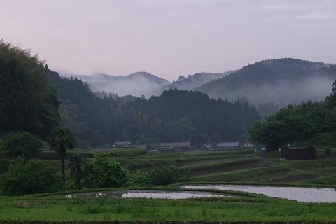 Img_c9be105069ab9cf12dfd7ca702869039