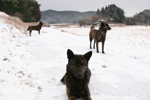 Img_d0191d76ebcf3b8437d5168d876a1fd7