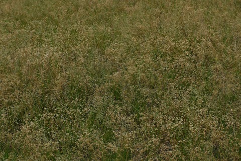 Img_d0a3762e9060dc73564de23a81d76793