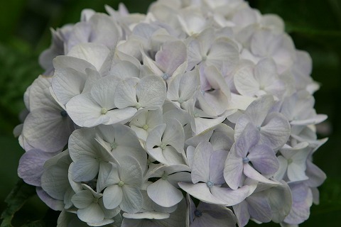 Img_dac6895a33fe76b2135b5e2694e08a77