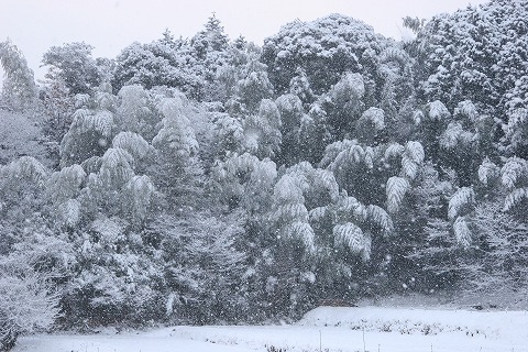 Img_db01d0cfcced55e965490962e1386675